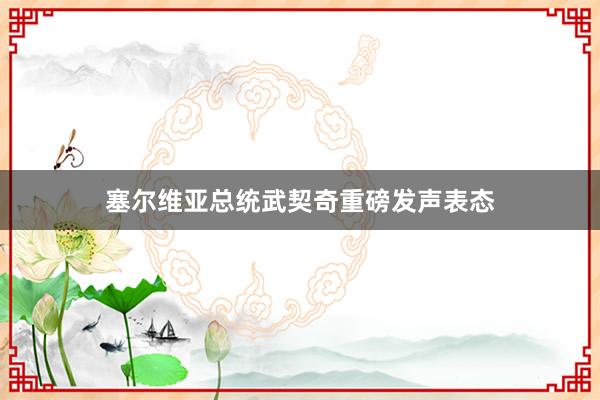 塞尔维亚总统武契奇重磅发声表态