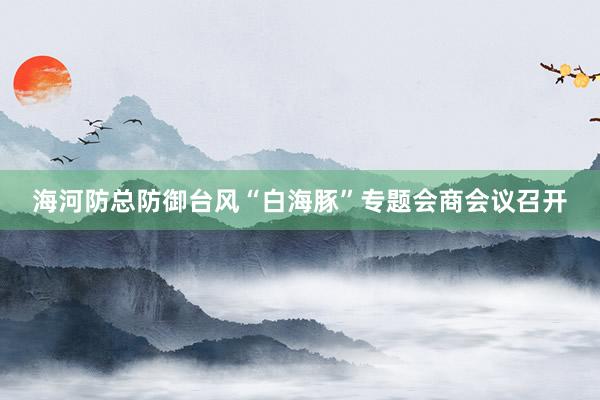 海河防总防御台风“白海豚”专题会商会议召开
