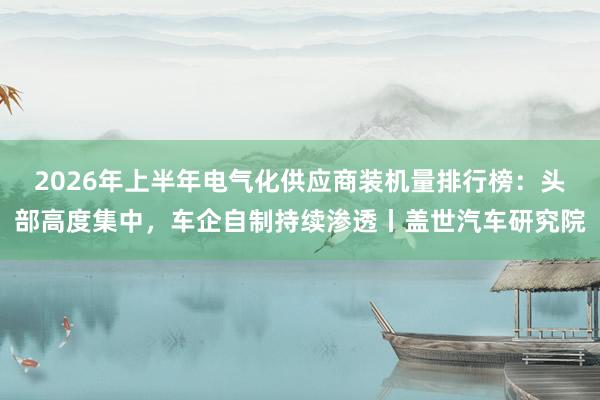 2026年上半年电气化供应商装机量排行榜：头部高度集中，车企自制持续渗透丨盖世汽车研究院
