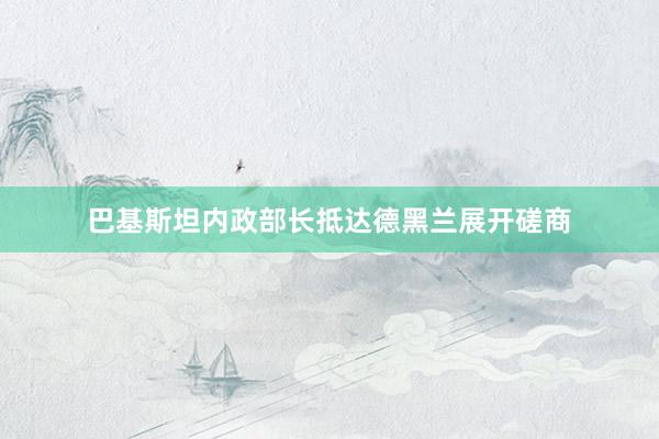 巴基斯坦内政部长抵达德黑兰展开磋商