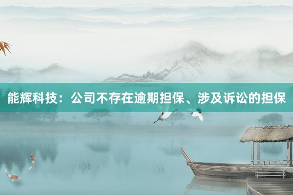 能辉科技：公司不存在逾期担保、涉及诉讼的担保
