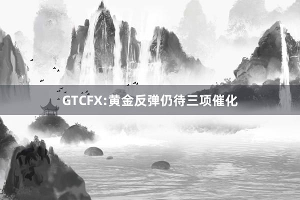 GTCFX:黄金反弹仍待三项催化