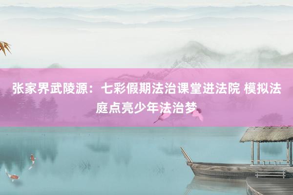 张家界武陵源：七彩假期法治课堂进法院 模拟法庭点亮少年法治梦