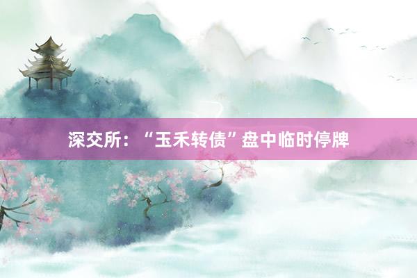 深交所：“玉禾转债”盘中临时停牌