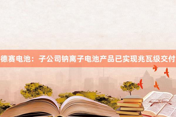 德赛电池：子公司钠离子电池产品已实现兆瓦级交付