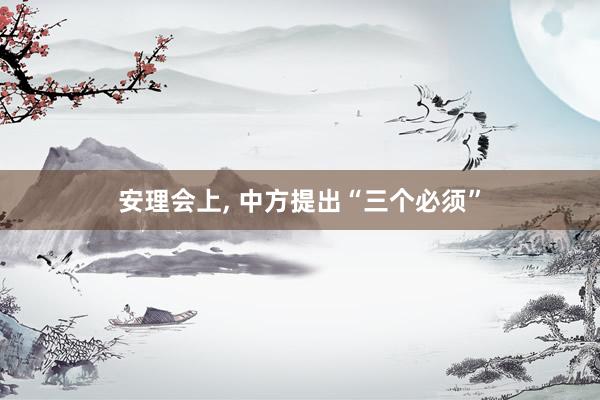 安理会上, 中方提出“三个必须”