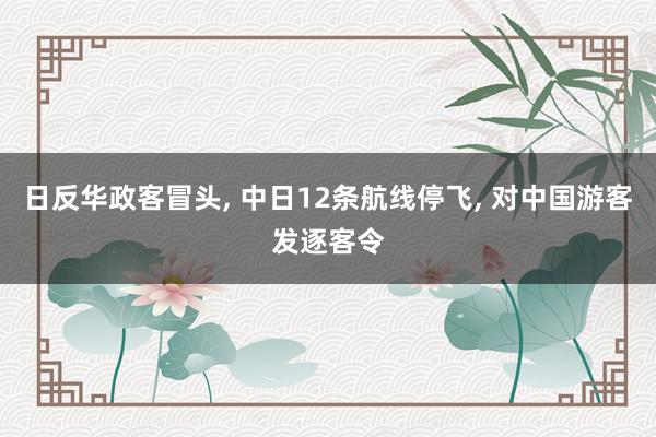 日反华政客冒头, 中日12条航线停飞, 对中国游客发逐客令