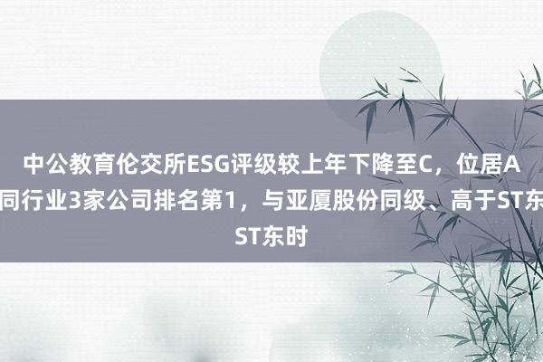 中公教育伦交所ESG评级较上年下降至C,位居A股同行业3家公司排名第1,与亚厦股份同级、高于ST东时