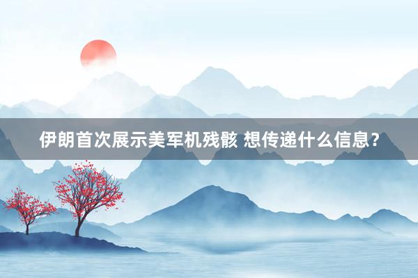 伊朗首次展示美军机残骸 想传递什么信息？