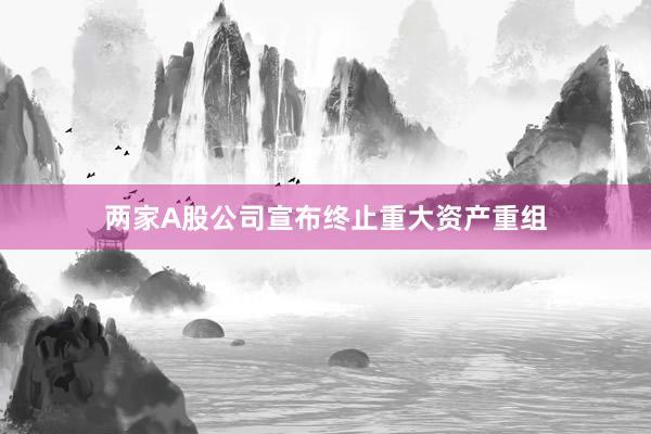 两家A股公司宣布终止重大资产重组