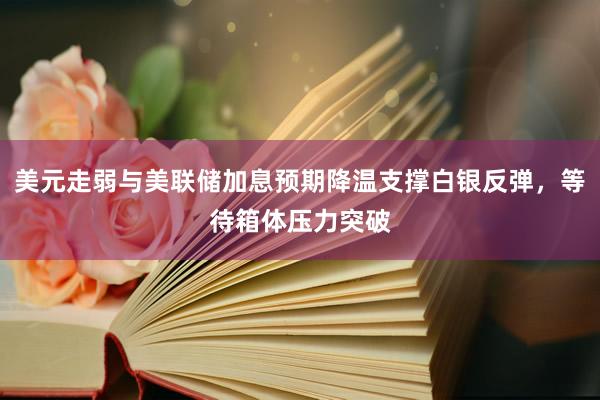 美元走弱与美联储加息预期降温支撑白银反弹，等待箱体压力突破
