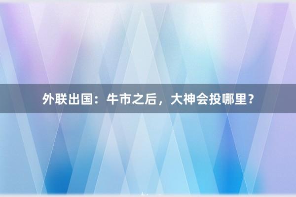 外联出国：牛市之后，大神会投哪里？