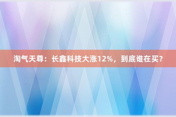 淘气天尊：长鑫科技大涨12%，到底谁在买？