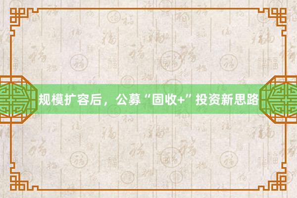 规模扩容后，公募“固收+”投资新思路