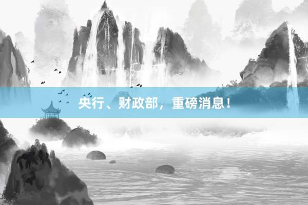央行、财政部，重磅消息！