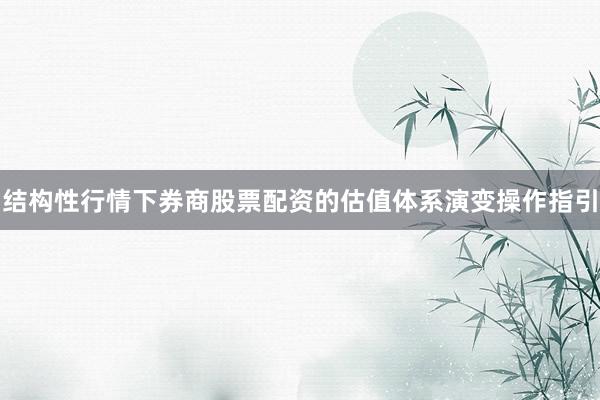 结构性行情下券商股票配资的估值体系演变操作指引