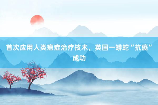 首次应用人类癌症治疗技术，英国一蟒蛇“抗癌”成功