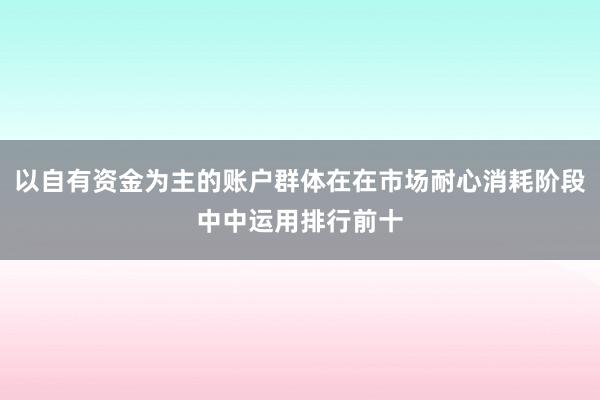以自有资金为主的账户群体在在市场耐心消耗阶段中中运用排行前十
