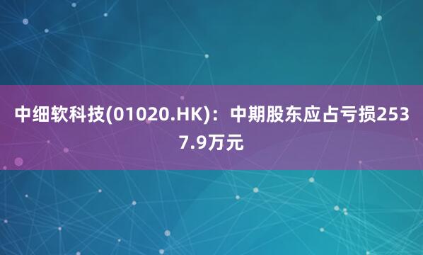 中细软科技(01020.HK)：中期股东应占亏损2537.9万元