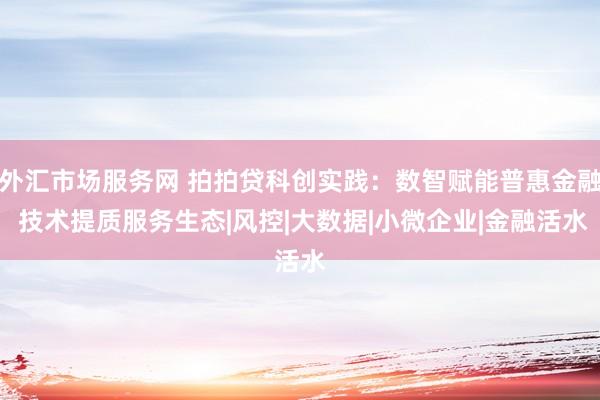 外汇市场服务网 拍拍贷科创实践：数智赋能普惠金融 技术提质服务生态|风控|大数据|小微企业|金融活水