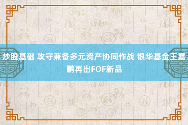 炒股基础 攻守兼备多元资产协同作战 银华基金王嘉鹏再出FOF新品