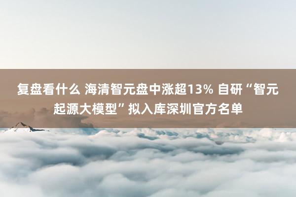 复盘看什么 海清智元盘中涨超13% 自研“智元起源大模型”拟入库深圳官方名单