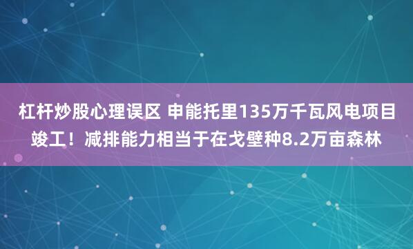 杠杆炒股心理误区 申能托里135万千瓦风电项目竣工！减排能力相当于在戈壁种8.2万亩森林