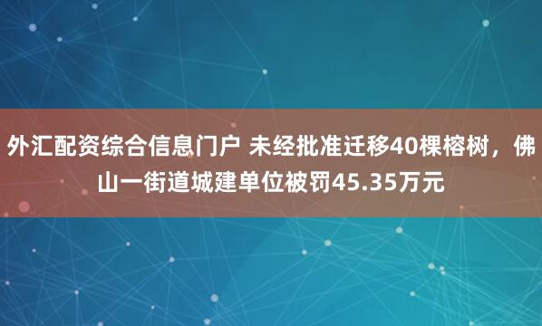 外汇配资综合信息门户 未经批准迁移40棵榕树，佛山一街道城建单位被罚45.35万元