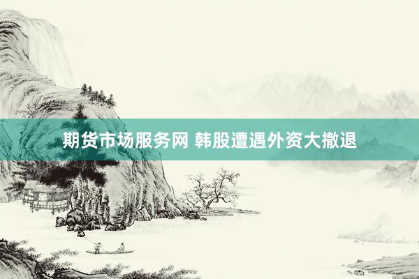 期货市场服务网 韩股遭遇外资大撤退