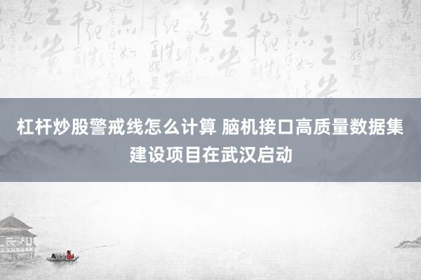 杠杆炒股警戒线怎么计算 脑机接口高质量数据集建设项目在武汉启动